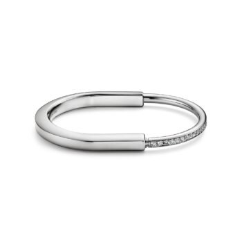 Bracelet de Luxe Pour Femme / F300680