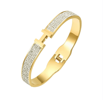 Bracelet de Luxe Pour Femme / F300276
