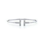 Bracelet de Luxe Pour Femme / F300289