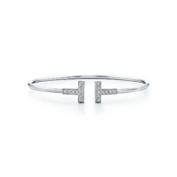Bracelet de Luxe Pour Femme / F300289