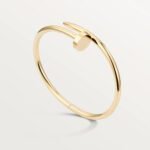 Bracelet de Luxe Pour Femme / F300354