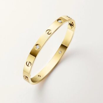 Bracelet de Luxe Pour Femme / F300315