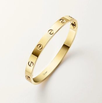 Bracelet de Luxe Pour Femme / F300314